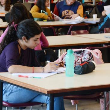 Estudiante en la Biblioteca de Puan. 