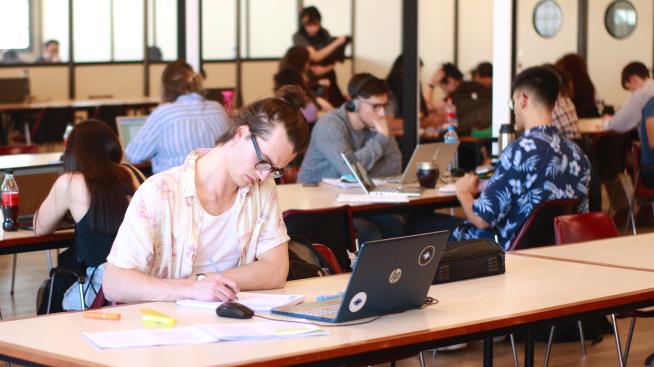 Estudiante en la Biblioteca de Puan.