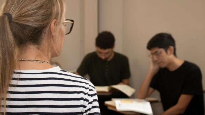 Profesora en Puan