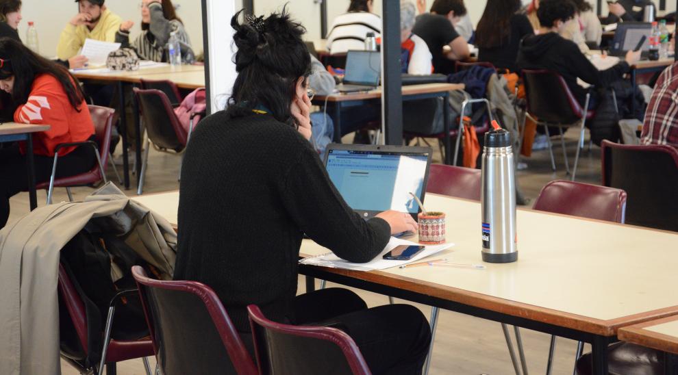 Estudiante en la Biblioteca de Puan. 