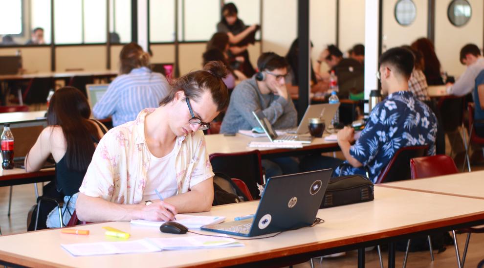 Estudiante en la Biblioteca de Puan. 