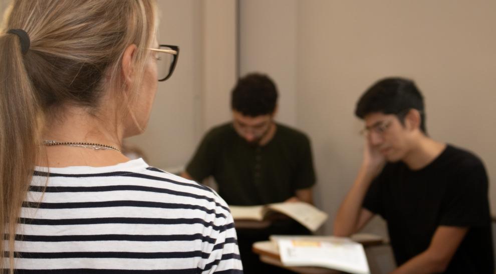Profesora en Puan