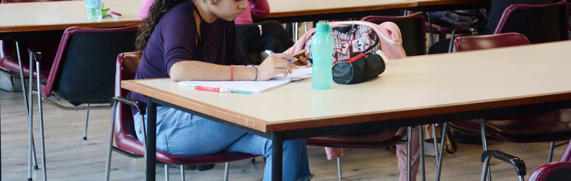 Estudiante en la Biblioteca de Puan. 