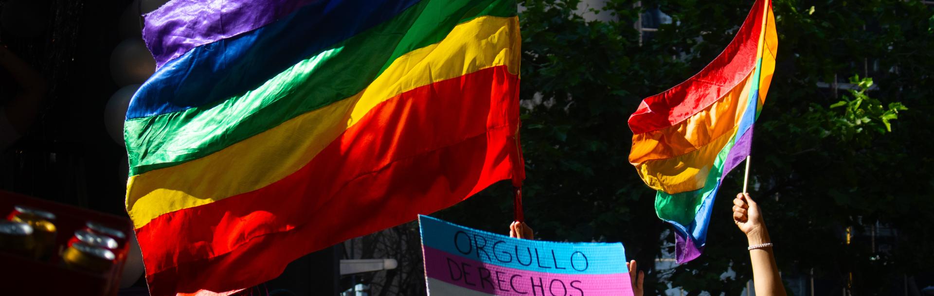 Bandera de la diversidad en una manifestación. 