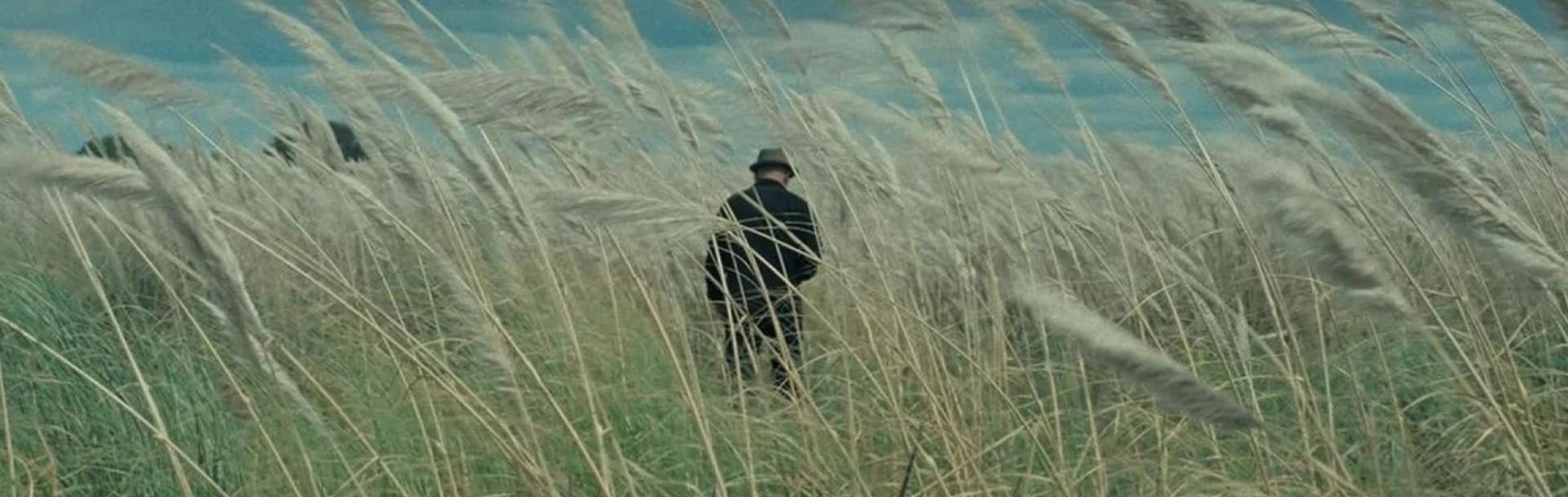 Un hombre de espaldas, vestido con sobretodo y sombrero, en un campo de maíz. 